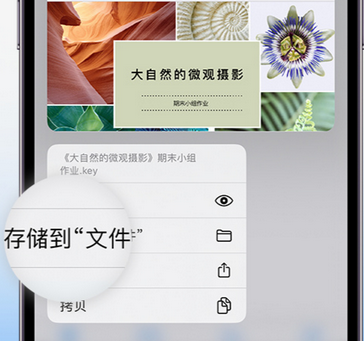 南溪apple维修中心分享iPhone文件应用中存储和找到下载文件