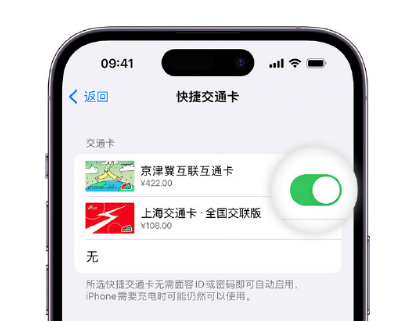 南溪apple维修点分享iPhone上更换Apple Pay快捷交通卡手绘卡面 