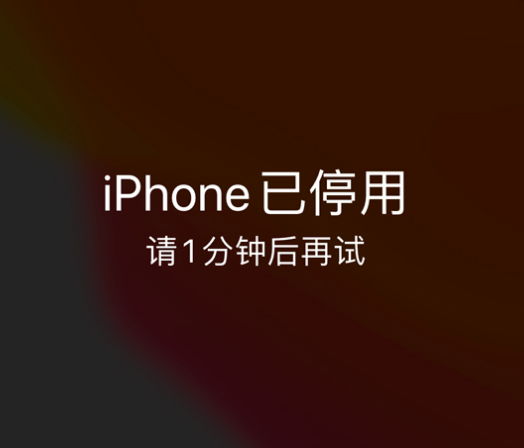 南溪苹果手机维修分享:iPhone 显示“不可用”或“已停用”怎么办？还能保留数据吗？ 