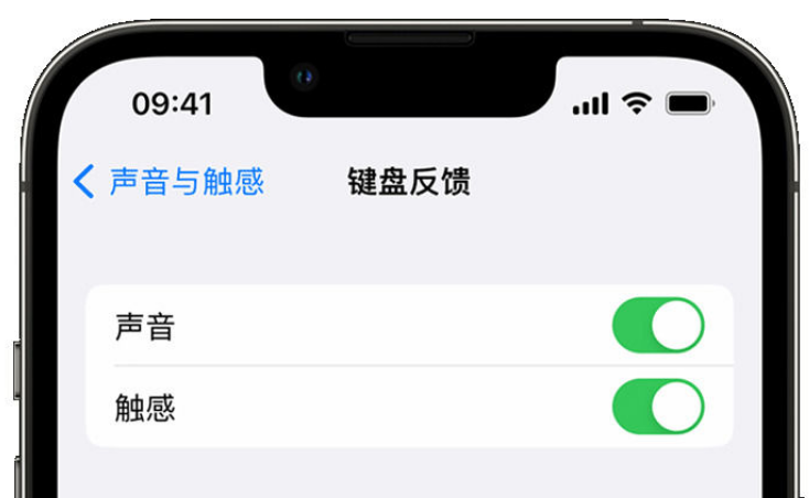 南溪苹果手机维修分享iPhone 14触感键盘使用方法 