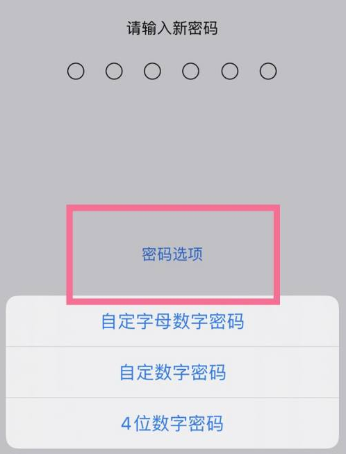 南溪苹果14维修分享iPhone 14plus设置密码的方法 