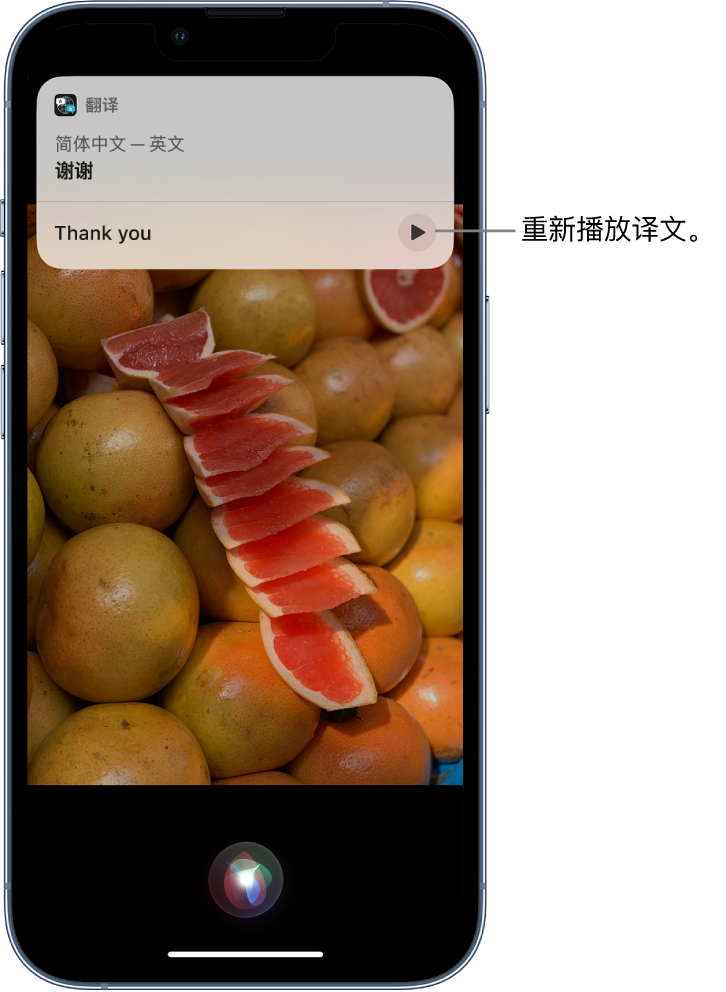 南溪苹果14维修分享 iPhone 14 机型中使用 Siri：了解 Siri 能帮你做什么 