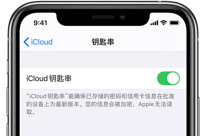 南溪苹果手机维修分享在 iPhone 上开启 iCloud 钥匙串之后会储存哪些信息 