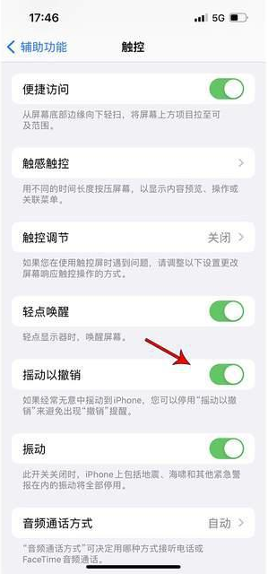 南溪苹果手机维修分享iPhone手机如何设置摇一摇删除文字 